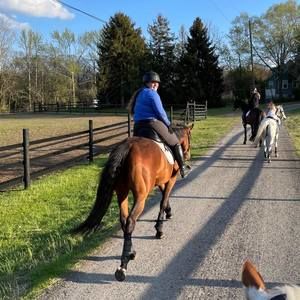 Meet your Posher, Lauren